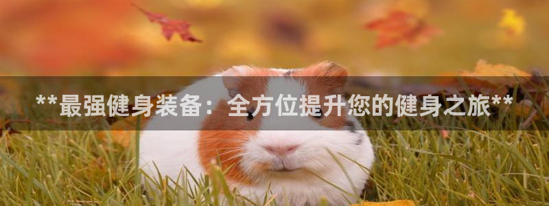 意昂2官网